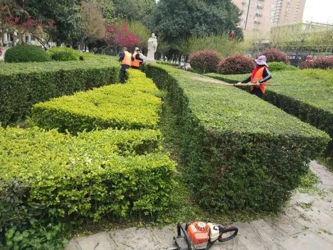 深度调查：城市绿地设计存在的园林管理问题推动改革势在必行