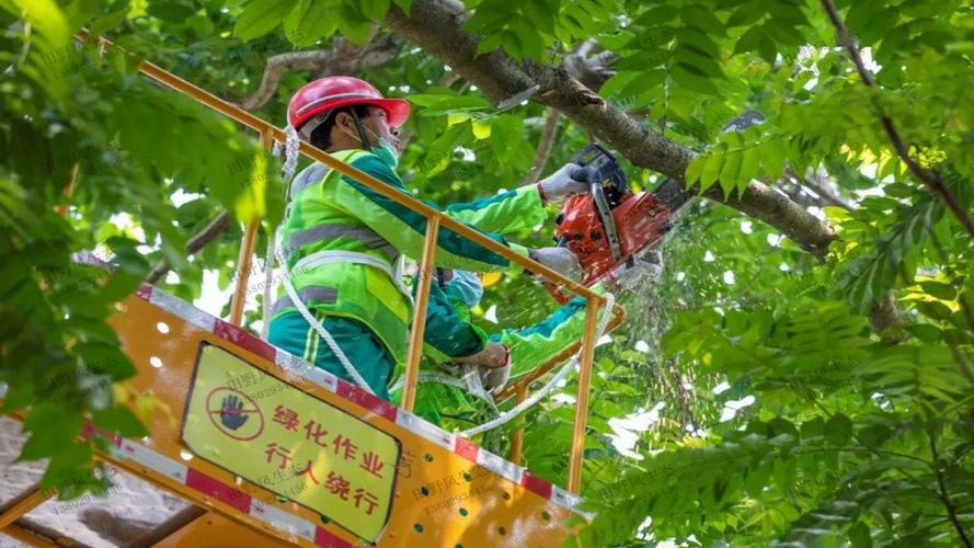新乡室外绿化工程公司