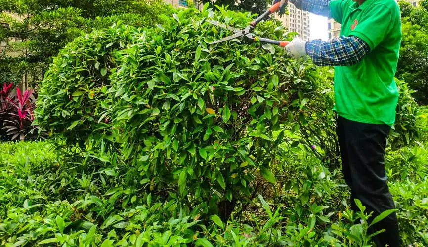 大同阳高县园林景观设计